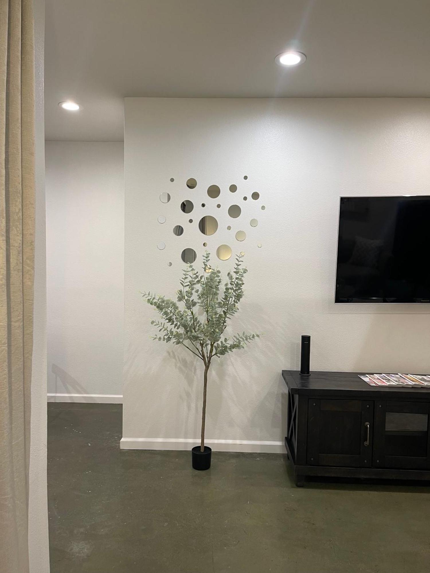 Beautiful 2-bedroom In The Heart Of Little Italy